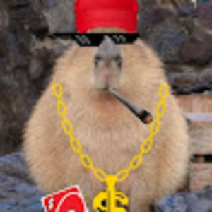 Meet your Posher, Caitlyn